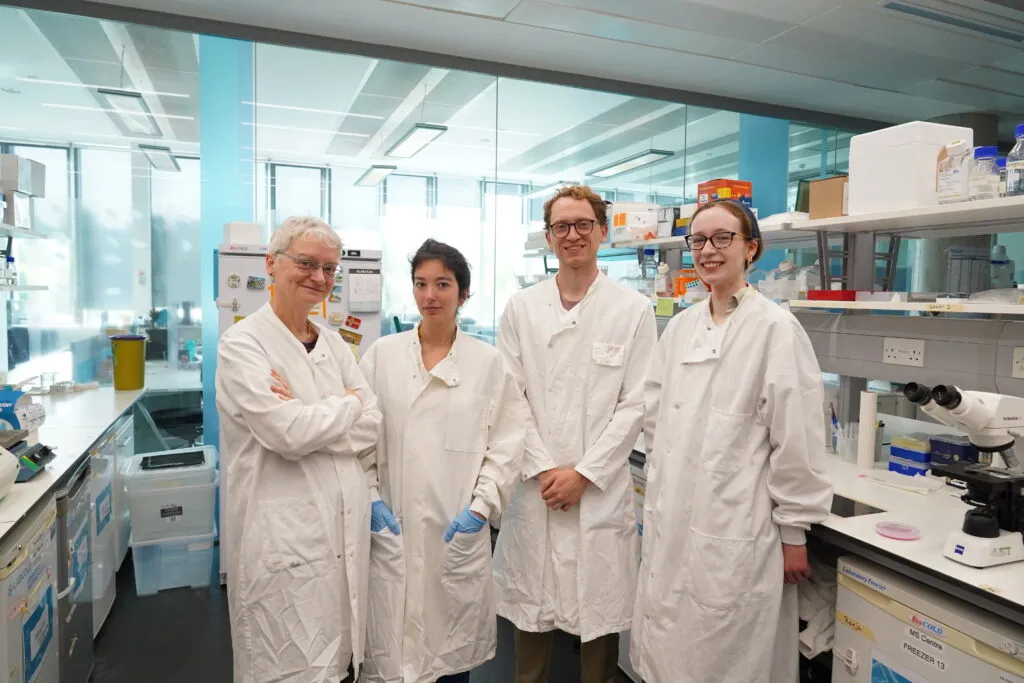 Tiny fish may unlock new MS drugs — Brexit is complicating research, but UK science endures