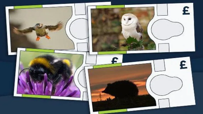 New British banknotes to feature hedgehog and bumblebee — Britain chooses charm over substance