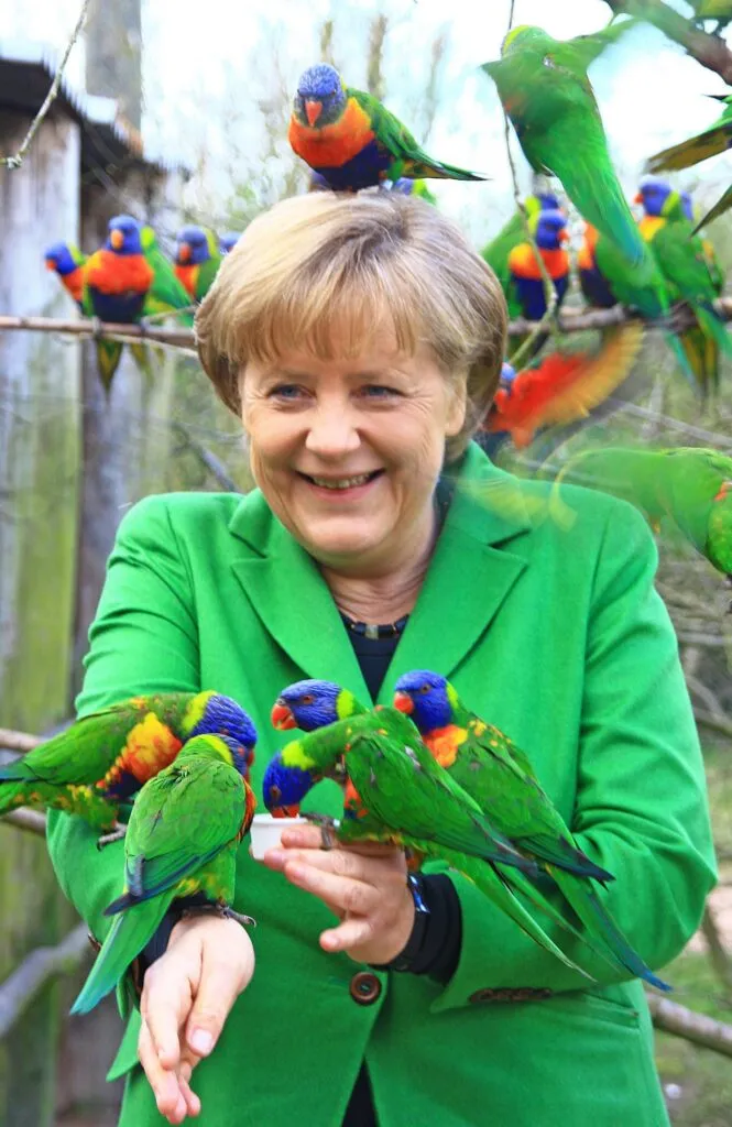 A flock of Lories, arboreal parrots, greet a visiting chancellor
