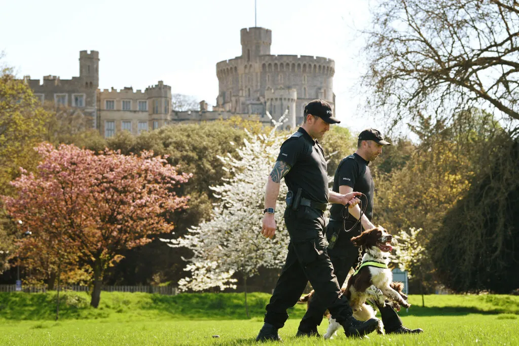 PC Jim Hyman with Yury and PC Paul Shutler with Gus of Thames Valley Police Joint Operations Dog Unit in Home Park, Windsor