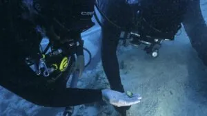600 grams of gold and precious stones: the most impressive Byzantine treasure found on a wreck off Croatia