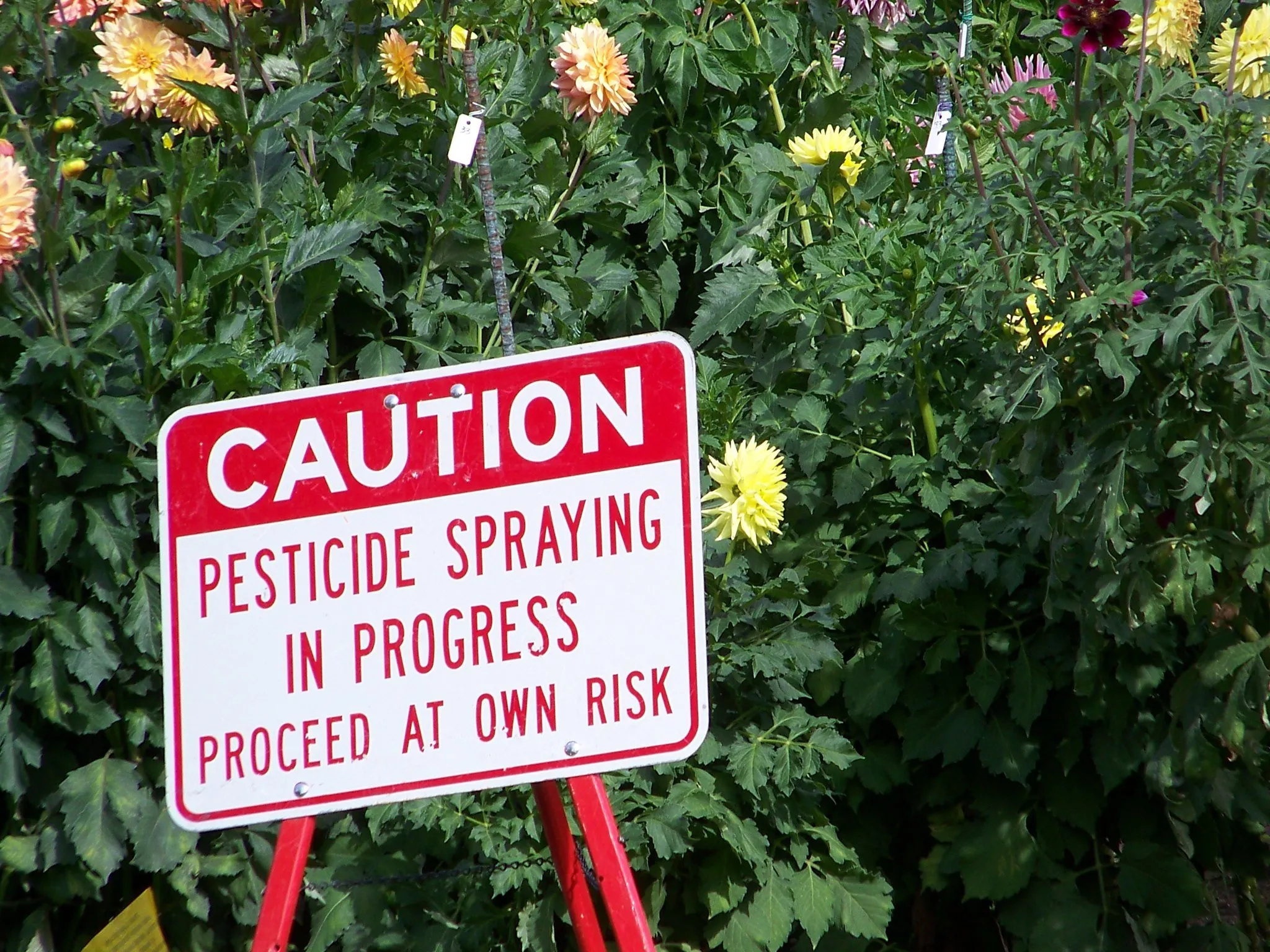 Stalemate over EU pesticides overhaul as scientists urge a halt